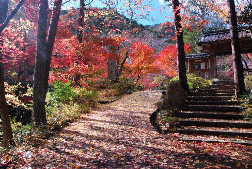 🏛️ 신의 창고 사원(진조지) 이미지 8